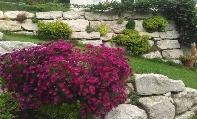 Enrochement, Saint-Genix-sur-Guiers, Paccard Paysage