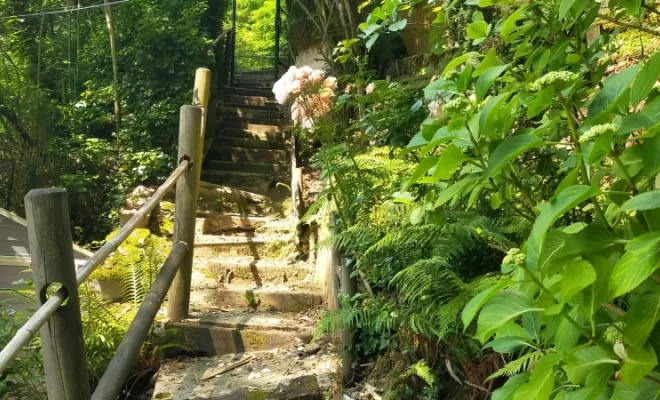 Escalier avant
