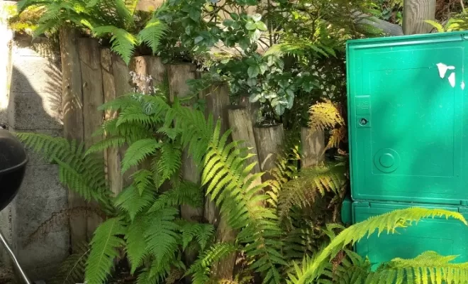 Rondins bois côté compteur avant