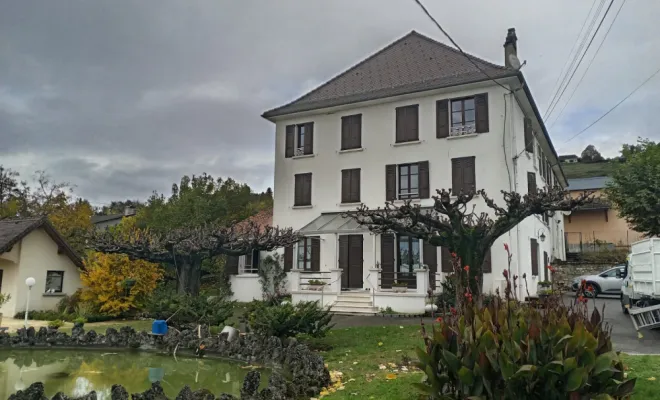 Taille de deux Tilleuls