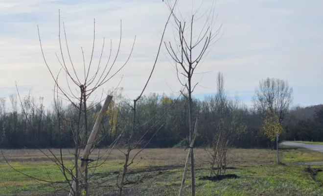 Enrochement et plantations, Saint-Genix-sur-Guiers, Paccard Paysage