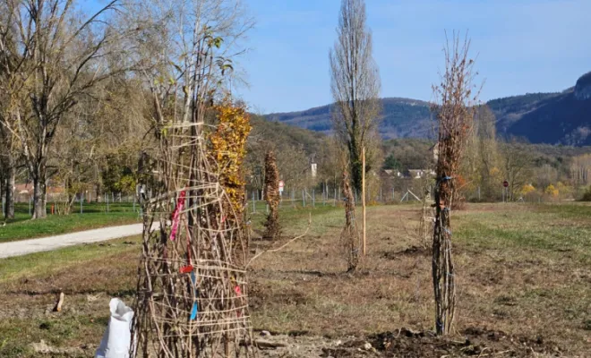 Enrochement et plantations, Saint-Genix-sur-Guiers, Paccard Paysage